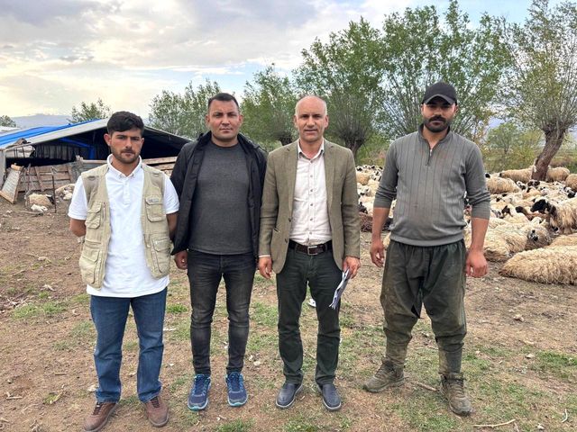 Erzincan'da Çoban Sorunu İçin Çözüm: Afgan Çobanlar