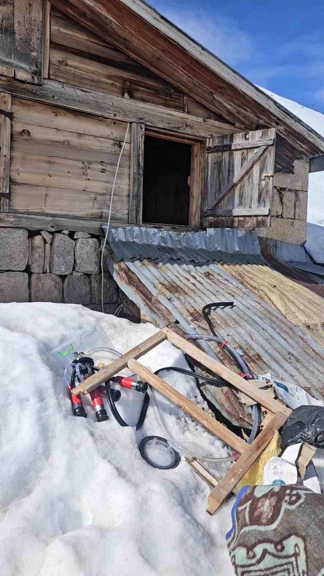 Evleri kırdı döktü; ormanda dinlenirken drone kamerasına yakalandı