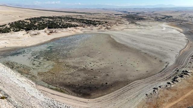 Geçen yıl içler acısı haldeydi, şimdiki hali inanılmaz