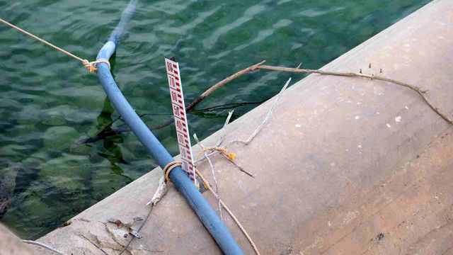 Geçen yıl içler acısı haldeydi, şimdiki hali inanılmaz