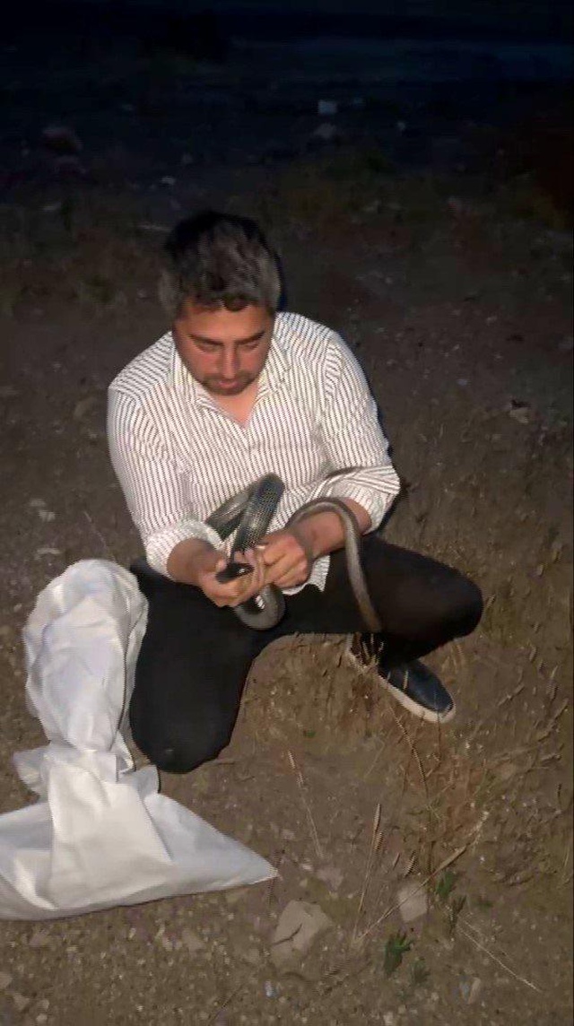 Hindistan değil Türkiye! Bakmaya bile korkanlar varken koca yılanı koluna doladı