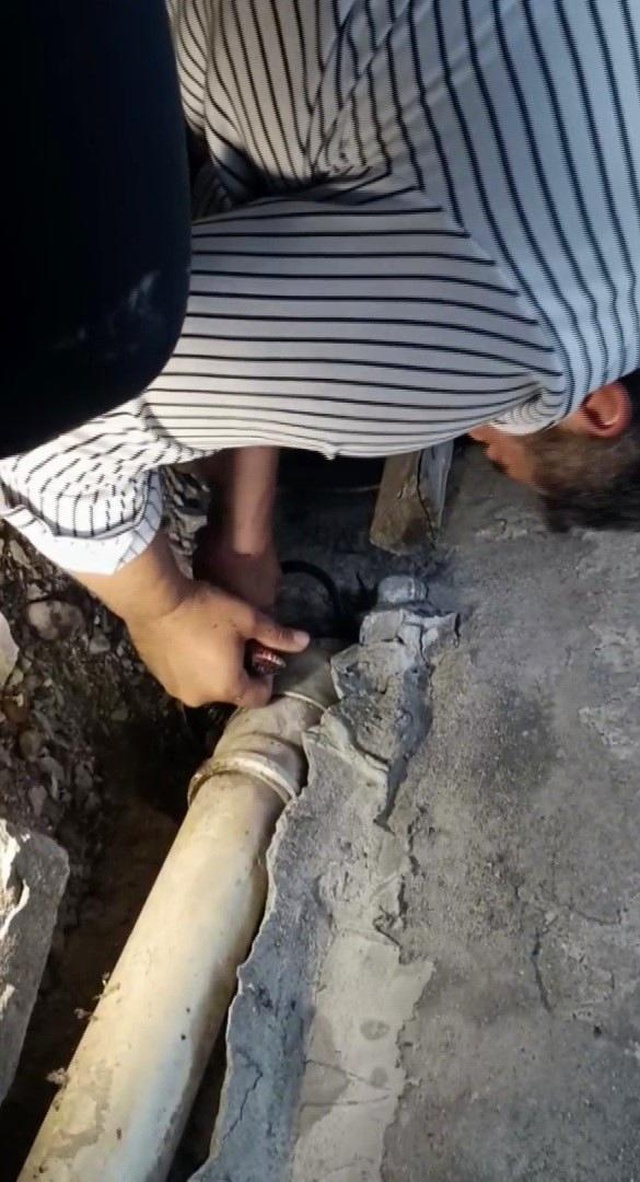 Hindistan değil Türkiye! Bakmaya bile korkanlar varken koca yılanı koluna doladı