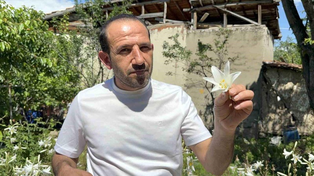 Tarladan servet fışkırdı! Litresi 270 bin TL'den satılıyor