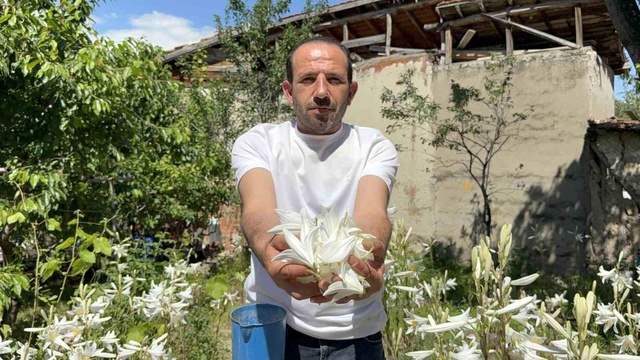 Tarladan servet fışkırdı! Litresi 270 bin TL'den satılıyor