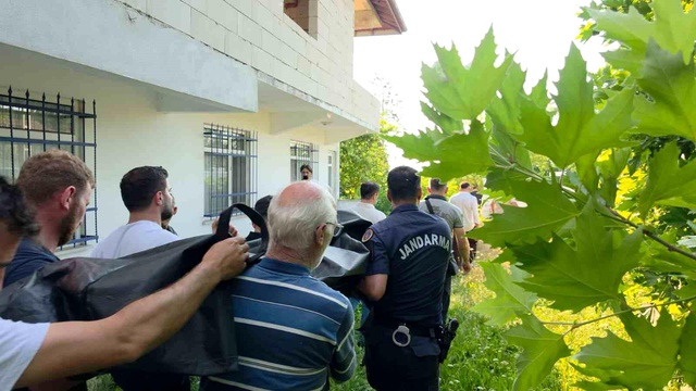 Ihlamur toplamak için çıktığı ağaçtan düşerek hayatını kaybetti
