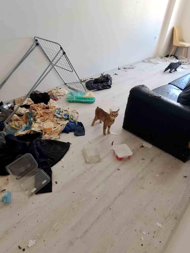Komşuları başka semtlere kaçırdı! Daireden çıkan manzara şoke etti