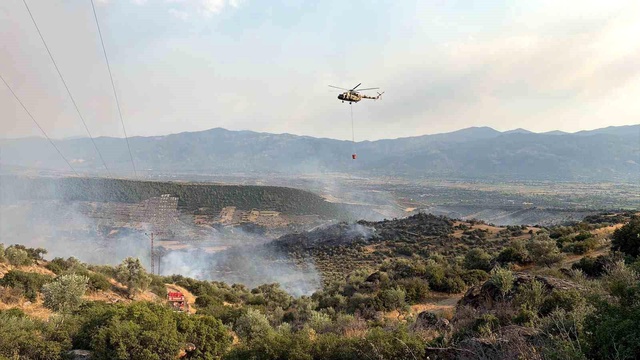 Aydın'da orman yangını! 2 mahalle tahliye edildi, zamanla yarış var