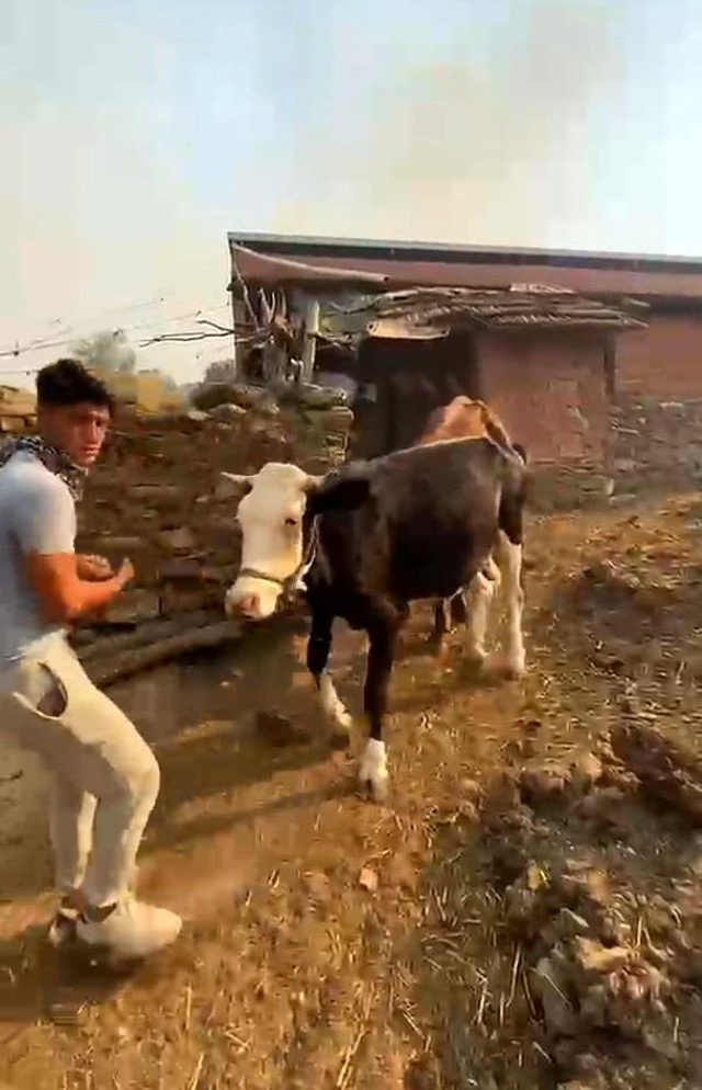 Aydın'da orman yangını! 2 mahalle tahliye edildi, zamanla yarış var