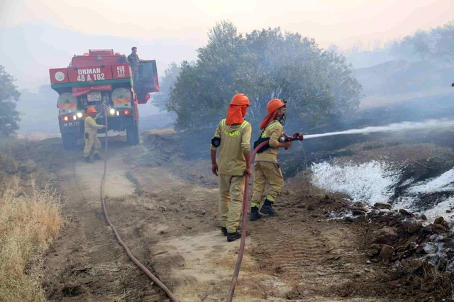 Aydın'daki yangın 7 saattir söndürülemedi,