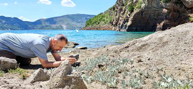 Nemrut Krater Gölü'nde kelebek şöleni