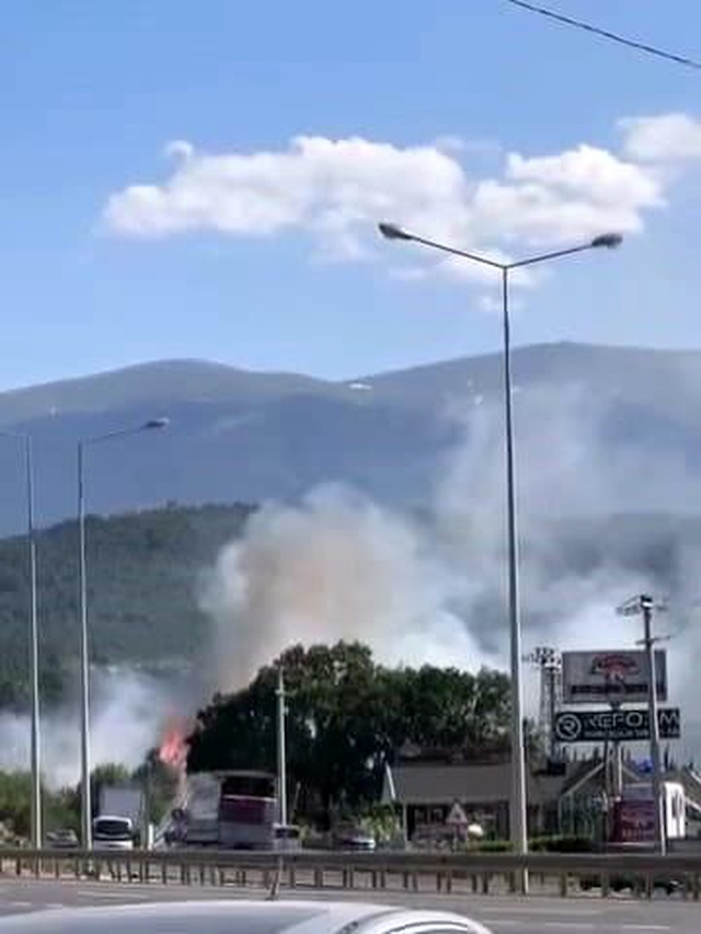 Kestel'de orman yangını: Havadan ve karadan müdahale devam ediyor