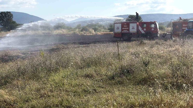Bolu'da hurda kanepe yangını 10 dönüm buğday tarlasını küle çevirdi