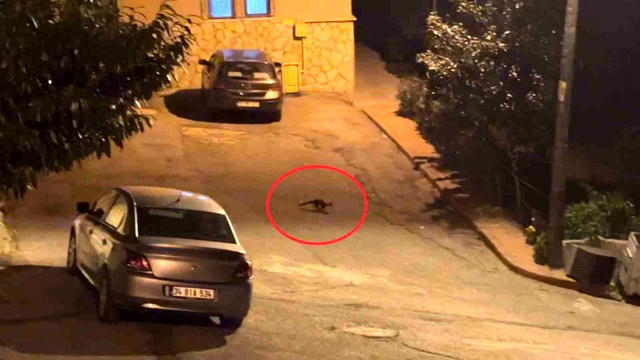 Hava kararınca mahalleye iniyorlar! Sayıları giderek artıyor
