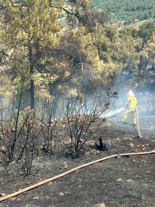 Balıkesir'de yangın felaketi! Ormanlık alana ulaşması son anda engellendi