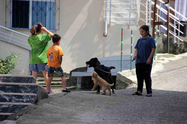 Karadeniz fıkrası gibi mahalle: Herkesin kimliğinde aynısı yazıyor
