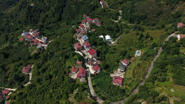 Karadeniz fıkrası gibi mahalle: Herkesin kimliğinde aynısı yazıyor