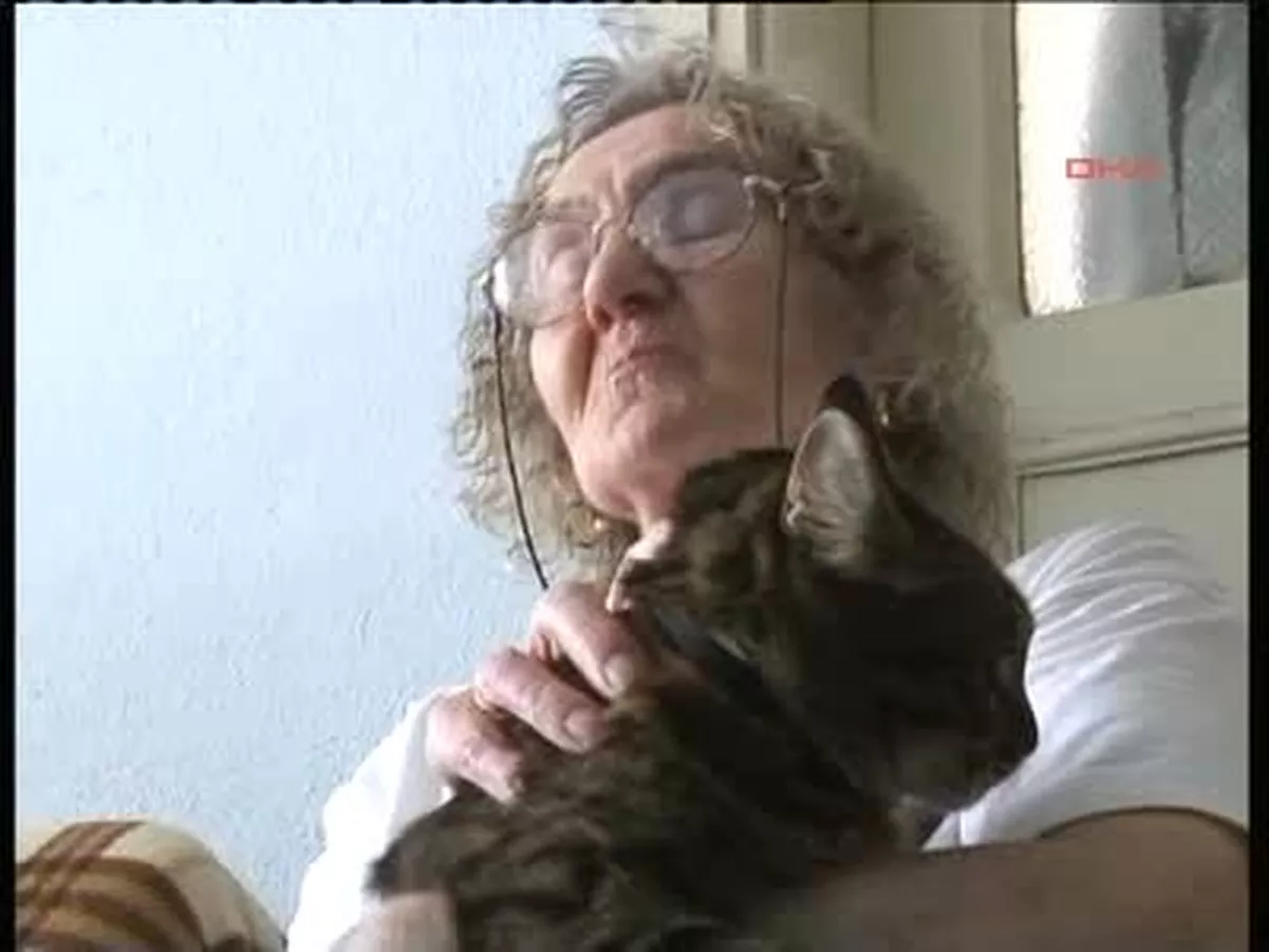 Hayvansever Çifte Kedi Besleme Cezası