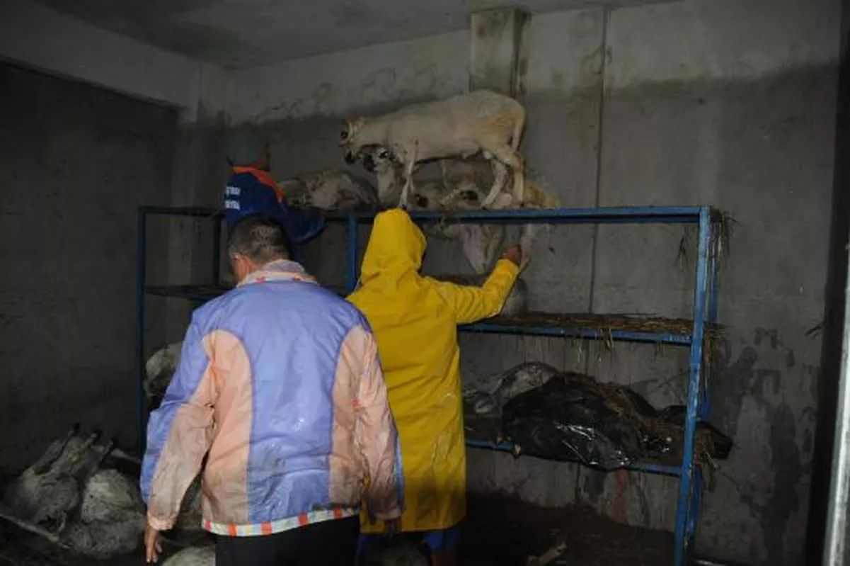 Trakya\'da Sel Can Aldı: 3 Ölü