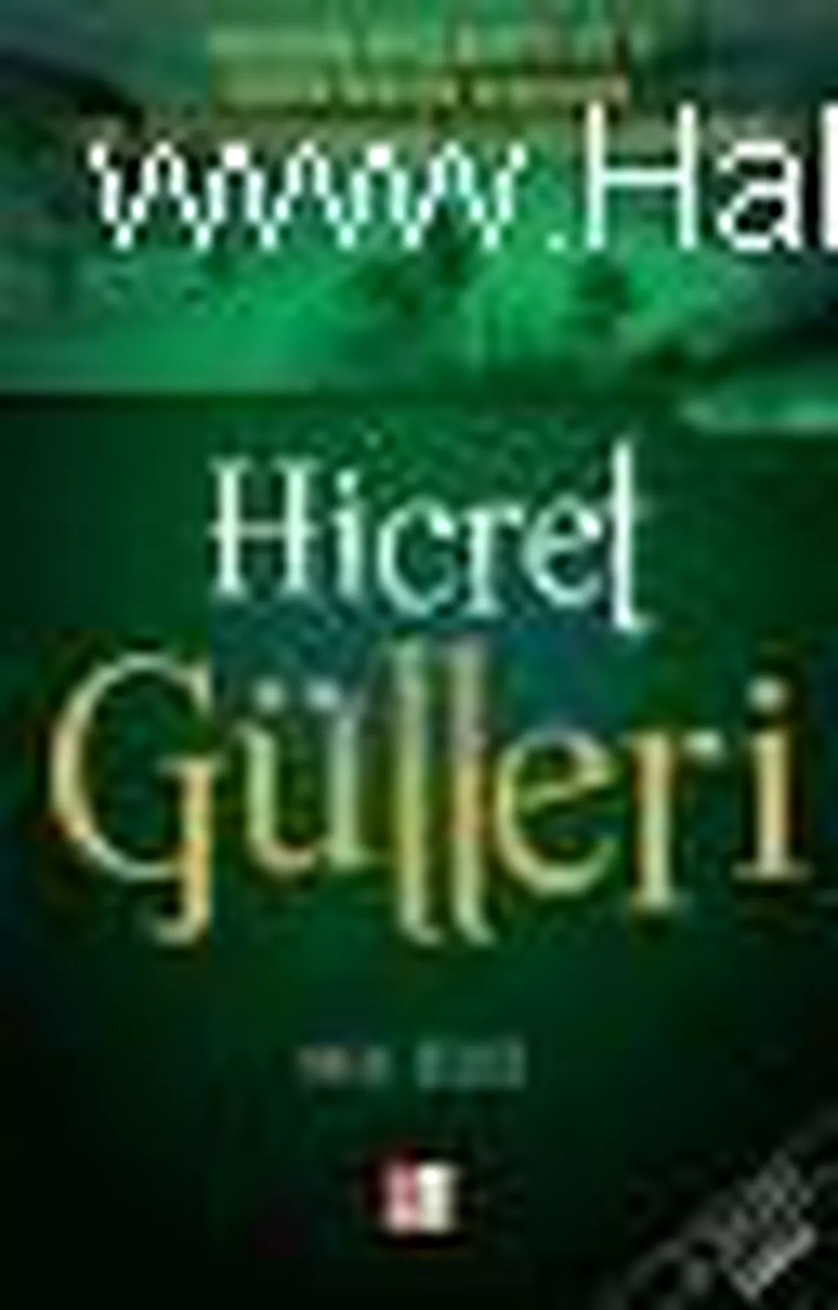 Hicret Gülleri 2. Cilt Kitabı