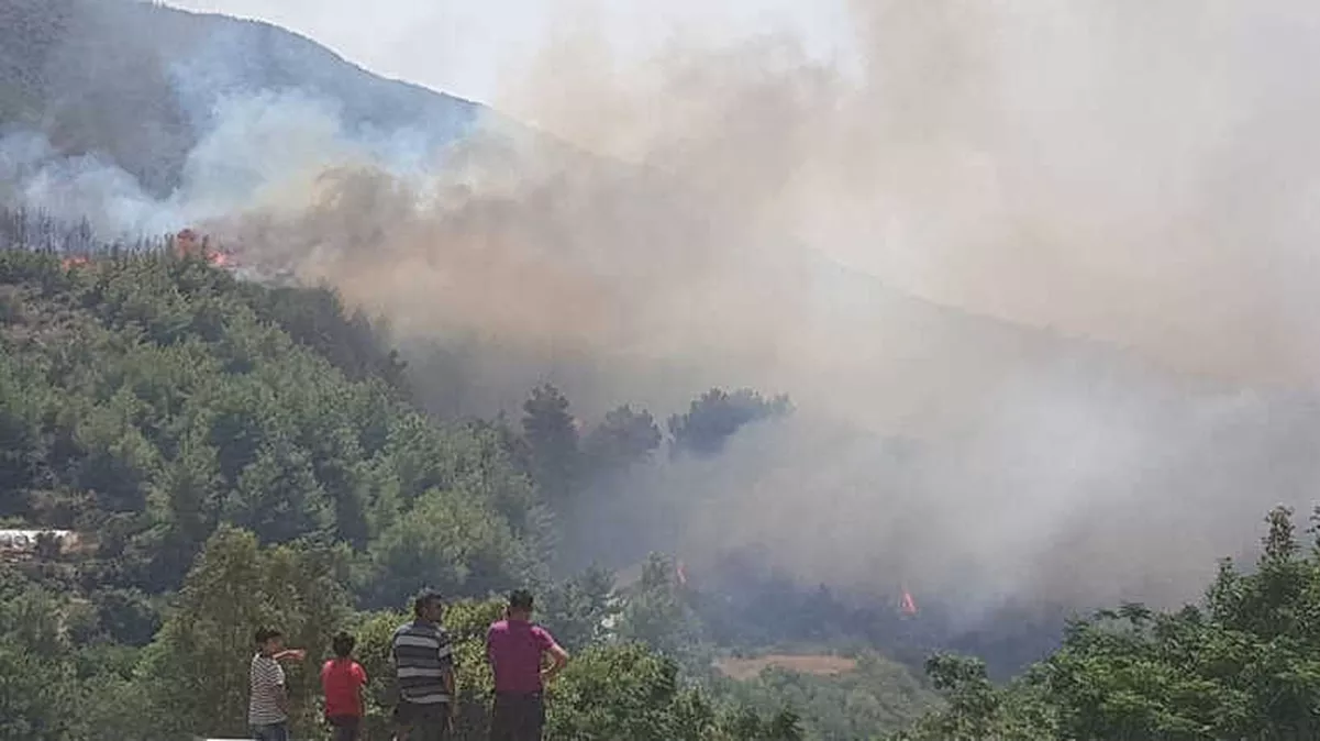 Hatay\'da Orman Yangını