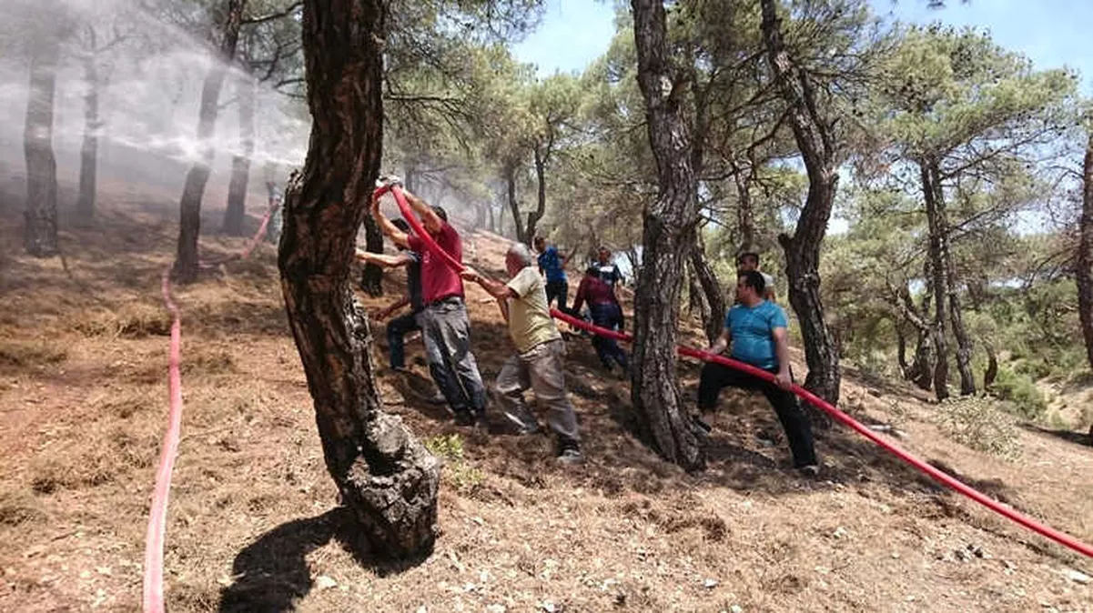 Reşadiye\'de Orman Yangını