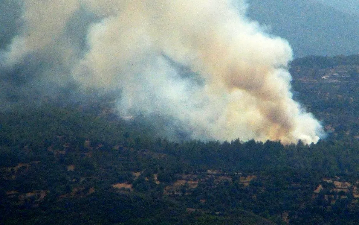 Milas\'ta orman yangını