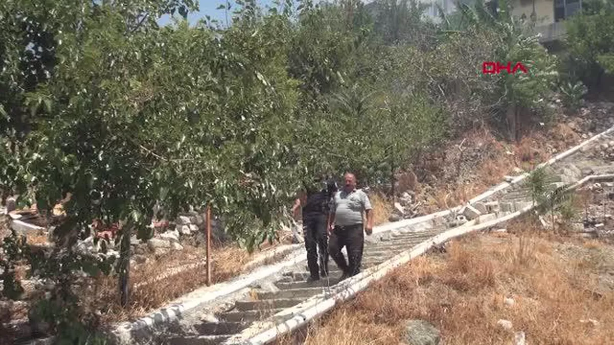 Hatay\'da orman yangını