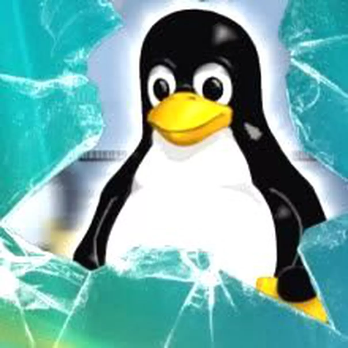Windows 8\'e Linux yorumu