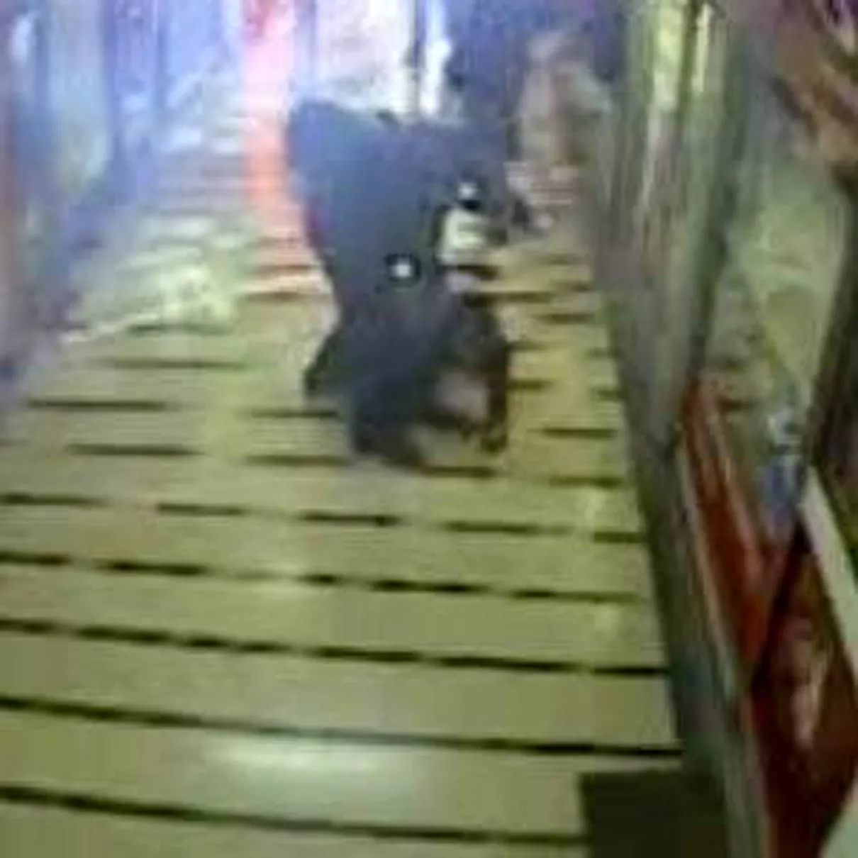 Polis Şiddeti Kamerada