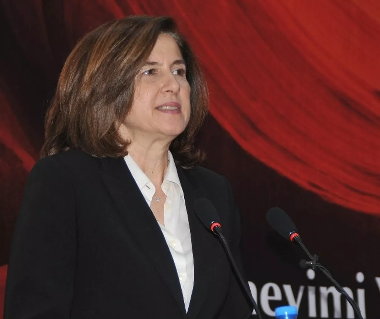 DYO, Toz Boya Üretmek için Fabrika Kurdu