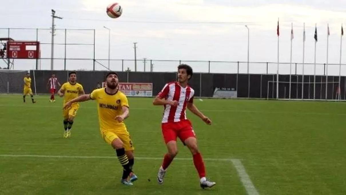 3. Lig