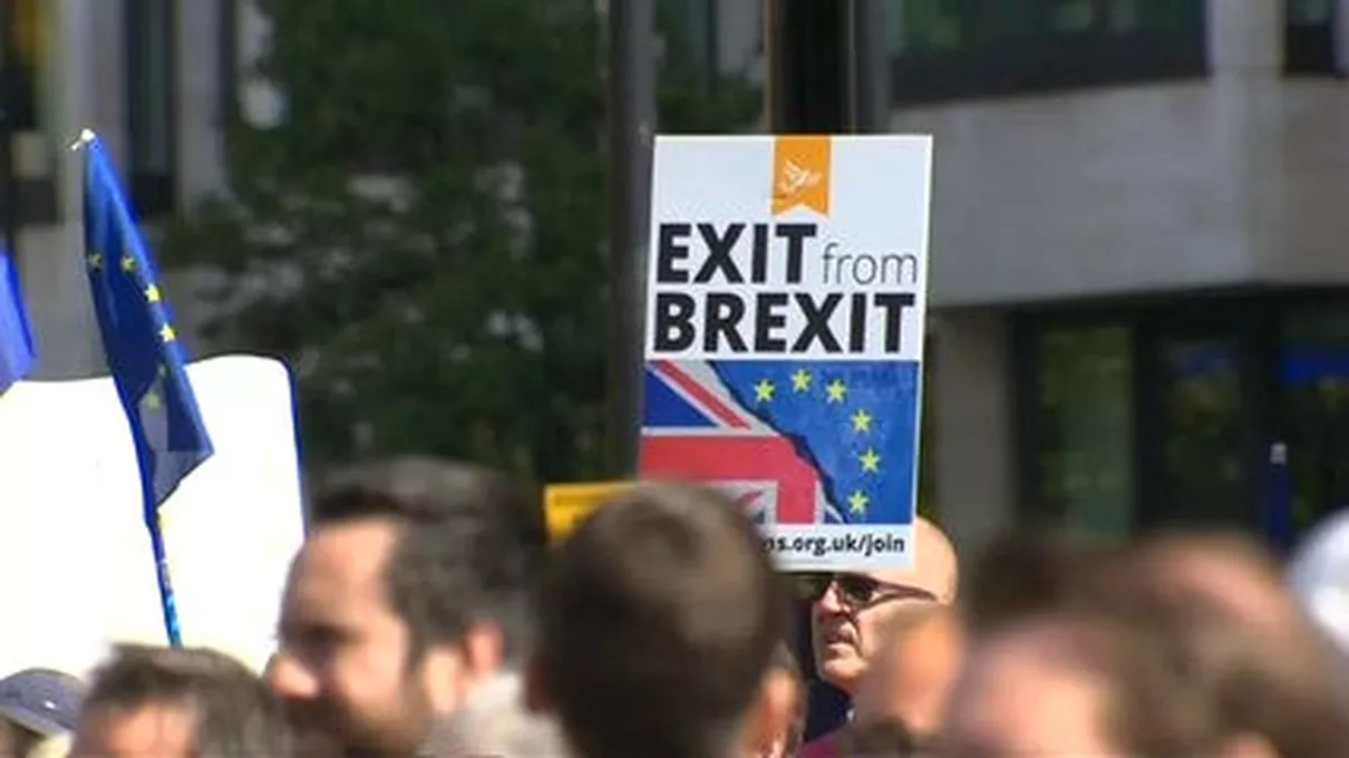 Londra\'da Brexit Protestosu
