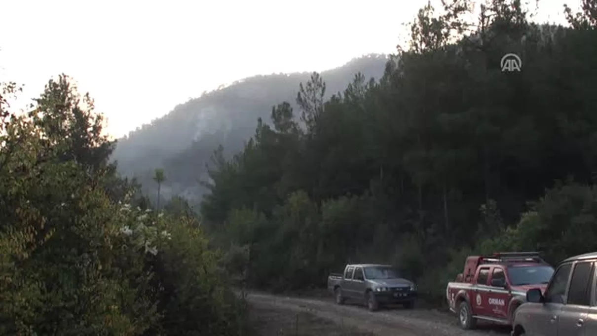 Orman Yangını
