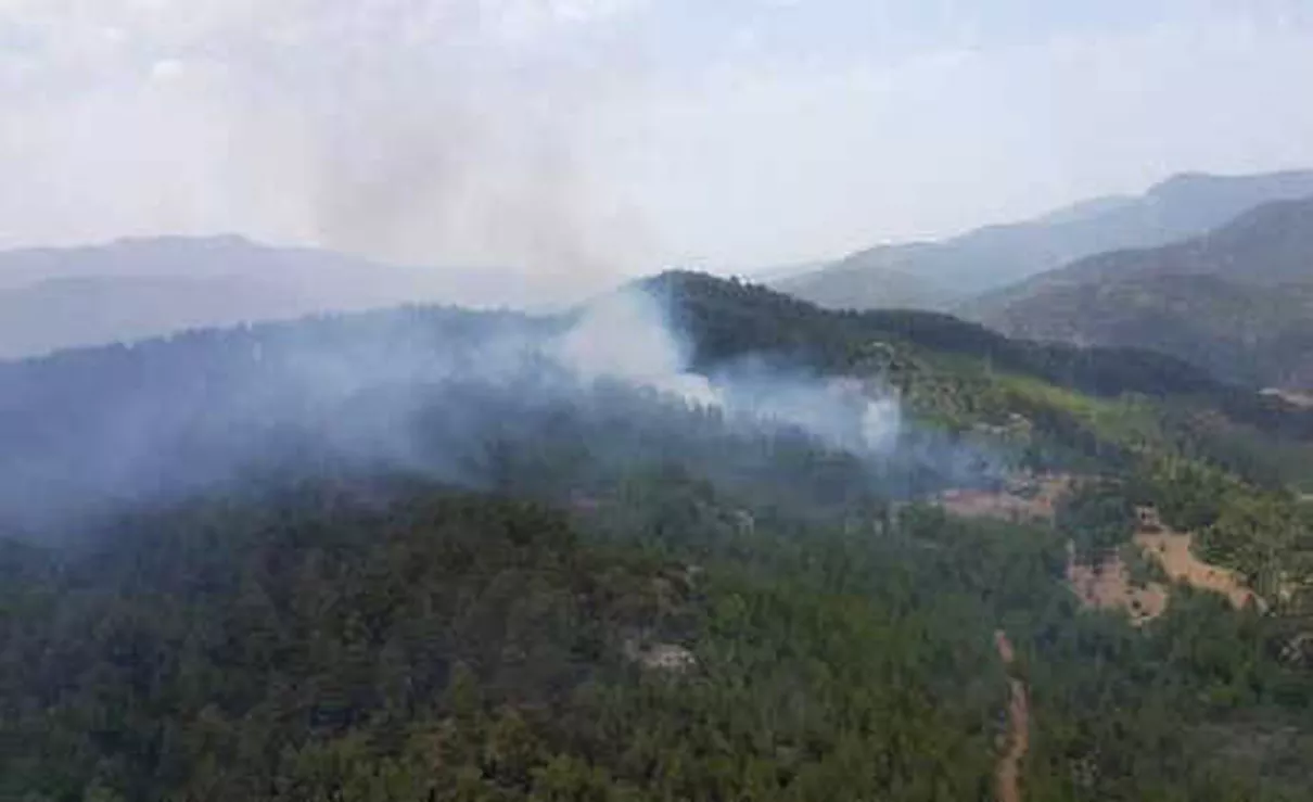 Denizli\'de Orman Yangını