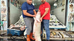 Balıkçı tezgahındaki 69 kiloluk dev balık Batmanda şaşkınlık yarattı