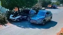 Güvenlik kamerası ortaya çıkardı: Bodrumda iki köpeği ezen sürücü aranıyor