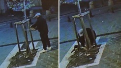 Vitrin görünmüyor diye ağacı kesti! Her şey saniye saniye kaydedildi
