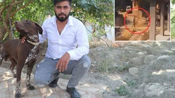 Bunu yapan insan olamaz! Köpeğe öldüresiye şiddet kamerada 