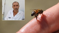 Çorum’da arı sokması can aldı! Doktorların müdahalesi yetmedi