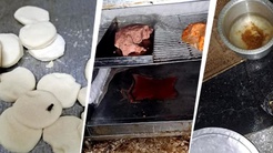 120 yıllık kafede korkunç manzara: Fare dışkısı, hamam böceği...