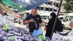 Rize tezgahlarında palamut bereketi: Adedi 50 ile 100 lira arasında