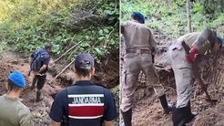 30 yıllık sır çözüldü! Eşi Nigar Bilgini katledip mağarada yaşamaya başlamış