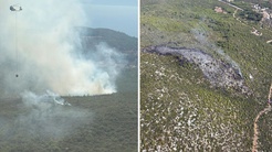 Bodrumda orman yangı! 2 uçak, 6 helikopter ve 102 personelle müdahale