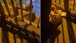 Trafik cezası sonrası intihara kalkıştı! İkna etmeye çalışan kişinin sözleri şaşırttı