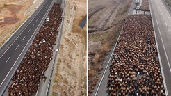 Görüntü Türkiyeden! İki şeritli yolu kapattılar, onlarca araç geçiş için bekledi