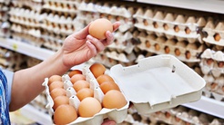 Ukraynadan gelen yumurtalarda salmonella alarmı! Raflardan toplatılıyor