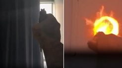 Şanlıurfa’da polisle çatışan firari şüpheli intihar etti