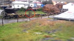 Türkiyenin diğer ucundan güpegündüz dehşete düşüren görüntü