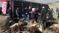 Kışlak yolculuğu faciayla bitti! Tüm serveti yok oldu