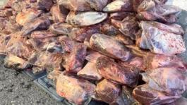 Vatandaşa yedireceklerdi, hepsine el konuldu! Tam 1 ton 700 kilo